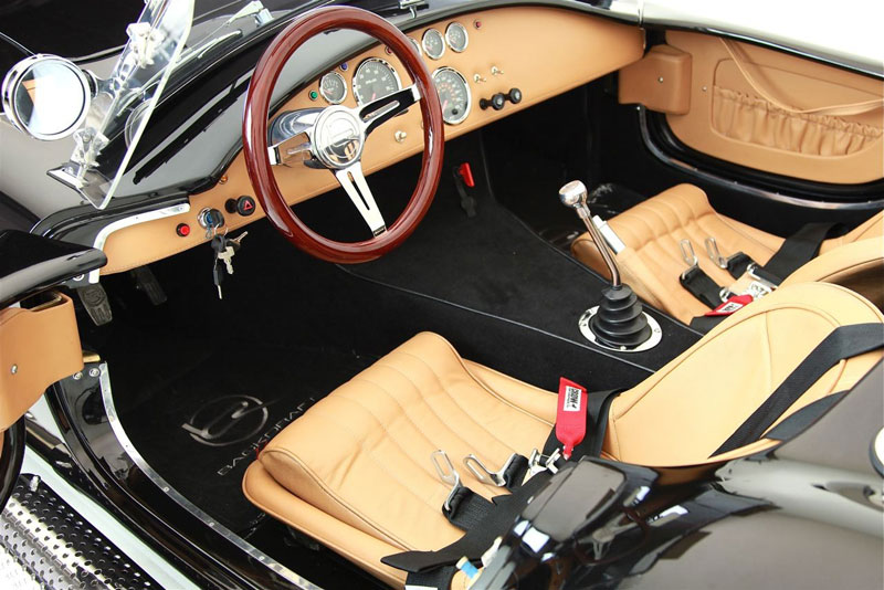 Tan Interior